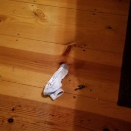 sock found under sofa with leaves and dirt