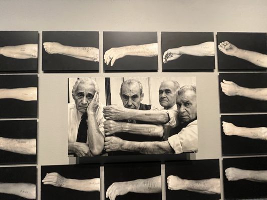 USA Holocaust Memorial Museum by null