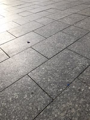 Place Kléber by null