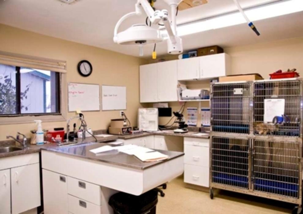 PRAIRIE ANIMAL HEALTH CENTRE Updated September 2024 62 Photos 416 7 Street NW, Weyburn