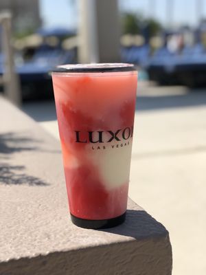 The Oasis Pool by null