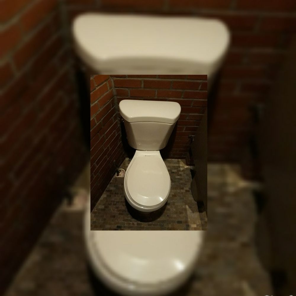 Slide of Satisfaction Sewers