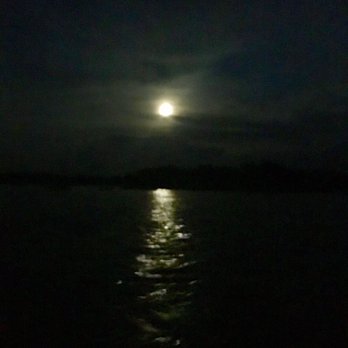 Ripple Effect Ecotours - Rafting/Kayaking Near Me - St. Augustine, Florida