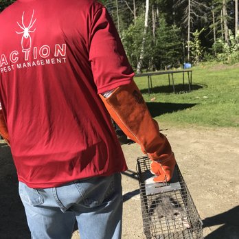 Action Pest Management - Pest Control Near Me - Pittsfield, Massachusetts Action Pest Management - Pest Control Near Me - Pittsfield, Massachusetts