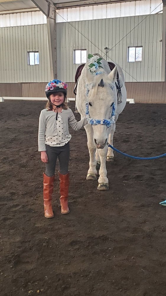 Denver Equestrians - equestrian in Littleton, CO