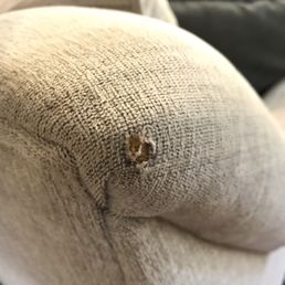Torn couch corner.