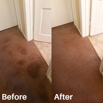 Phenomenal Carpet Care - Carpet Cleaning Near Me Phenomenal Carpet Care - Carpet Cleaning Near Me