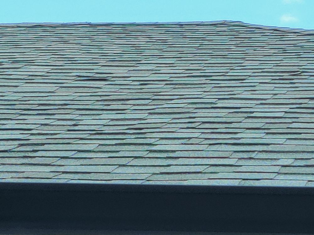 Slide of Citrus Contracting