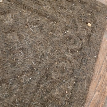 Zisty Clean - after "4 hour cleaning" - Home Cleaning Near Me - Denver, Colorado