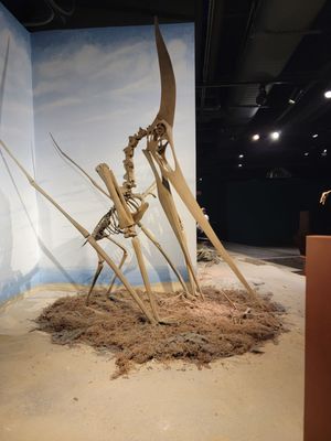 McWane Science Center by null