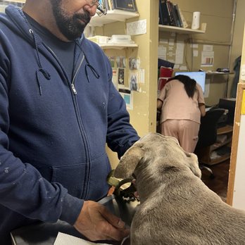 Delta Animal Hospital - Dog and owner - Veterinarians Near Me - Chicago, Illinois