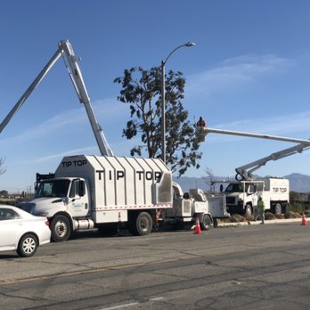 Tip Top Arborists - Our crews working for the City of Lancaster on Sierra Highway bike path. - Tree Services Near Me - Lancaster, California