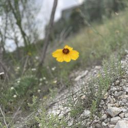 Classen Steubing Ranch Park