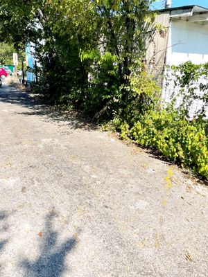 Sugar Mama's Bakeshop by null