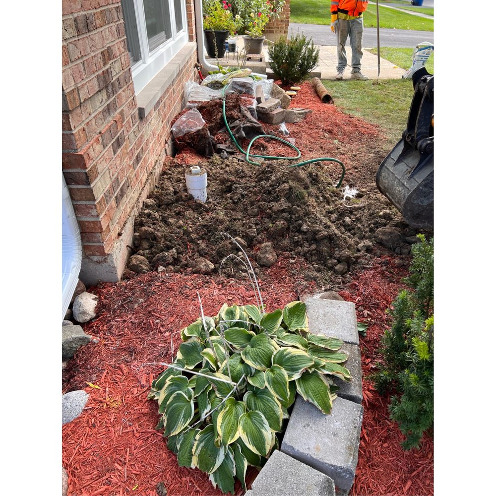 Slide of T. Dotson's Drains