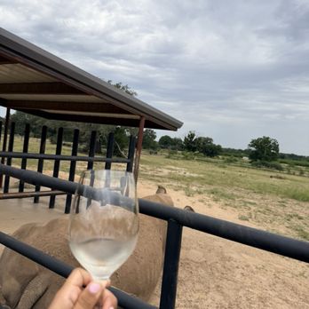 Rhinory - Blake - Wineries Near Me - Fredericksburg, Texas