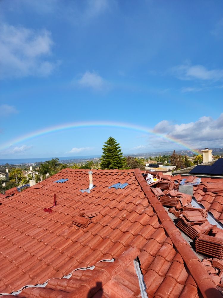 Slide of Mario Bees Gutter Cleaning and Roof Repair