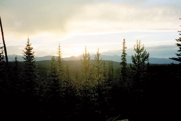 Cache Accounting and Tax Services