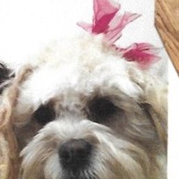 This is my "furry family friend"! This is my "furry family friend"!