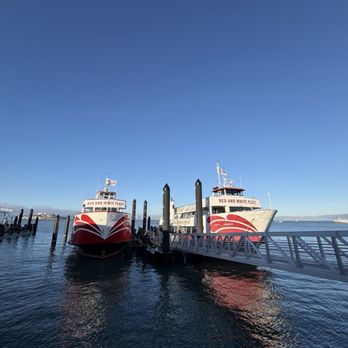 Red and White Fleet  - Red and white fleet - Boating Near Me - San Francisco, California