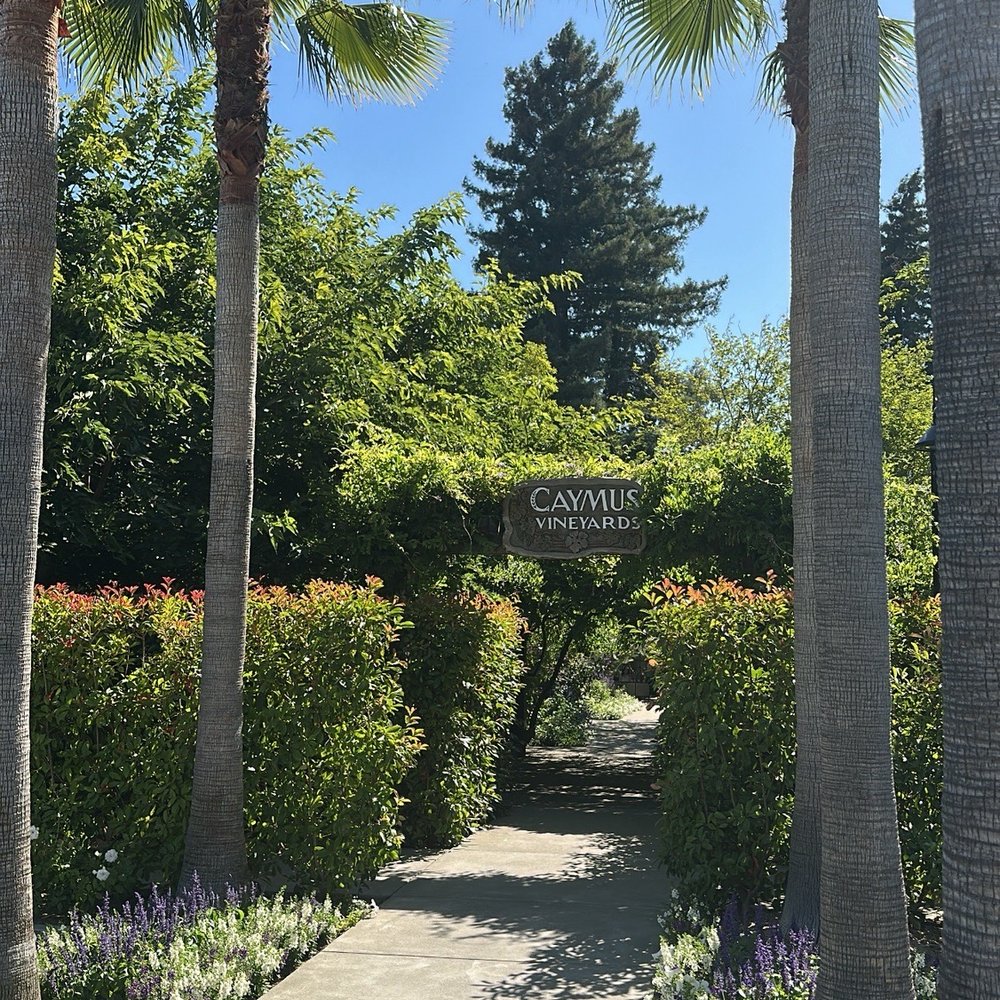 Caymus Vineyards - Wineries Near Me - Rutherford, California