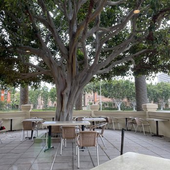 Rubio's Coastal Grill - Love this outdoor patio - Mexican Near Me - Irvine, California Rubio's Coastal Grill - Love this outdoor patio - Mexican Near Me - Irvine, California