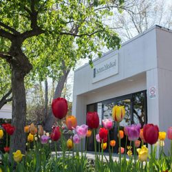 Acton Medical Associates, PC
