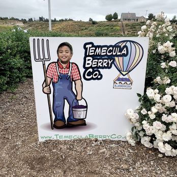 Temecula Berry - Farmer Jay - Farms Near Me - Temecula, California