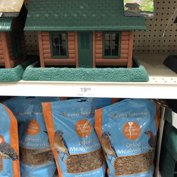 Menards - I should get another bird feeder??? - Hardware Stores Near Me - Morton Grove, Illinois