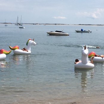 Queen Vic Guest House - Always plenty of unicorns in Provincetown! - Bed & Breakfast Near Me - Provincetown, Massachusetts Queen Vic Guest House - Always plenty of unicorns in Provincetown! - Bed & Breakfast Near Me - Provincetown, Massachusetts