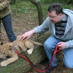 Amazing Animals - Lydia the lion cub with Jason and me Joanne