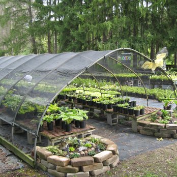 Emerald Forest Nursery - Nurseries & Gardening Near Me - Columbia Station, Ohio Emerald Forest Nursery - Nurseries & Gardening Near Me - Columbia Station, Ohio