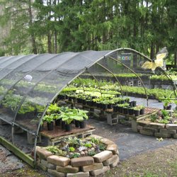 Emerald Forest Nursery