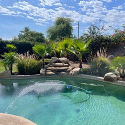 Moon Valley Nurseries - 3 Hybrid Mediterranian Palms & 2 Pygmies. We had an additional 3 hybrids, 1 pineapple and 1 dessert willow planted as well