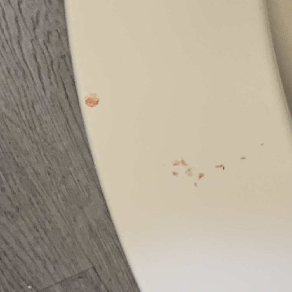 Toilet seat Toilet seat
