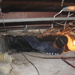 Allied Insulation