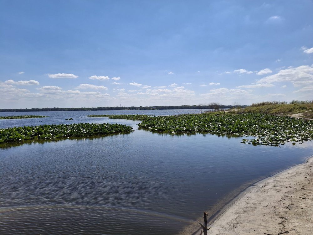Lake Jesup Park Image