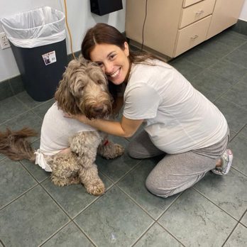 Greenleaf Animal Hospital - Veterinarians Near Me - Miami, Florida Greenleaf Animal Hospital - Veterinarians Near Me - Miami, Florida
