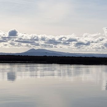 Wombat Charters - Amazing view of Mount Tamalpais from the boat... no filters at all! - Fishing Near Me