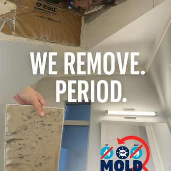 Mold Only - Damage Restoration Near Me - Lake Park, Florida Mold Only - Damage Restoration Near Me - Lake Park, Florida