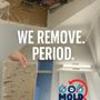 Mold Only
