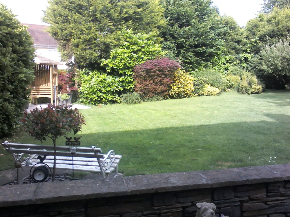 CAROLE’S CANINE CARE Dog Walkers 8 Kestrel Road, Halesowen, West