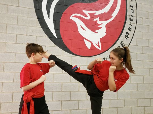 Volpe Martial Arts Chinese Martial Arts 335 Gage Avenue