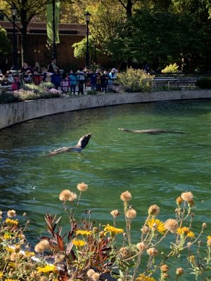 Prospect Park Zoo by null