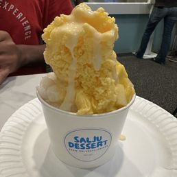 Regular Shaved Ice