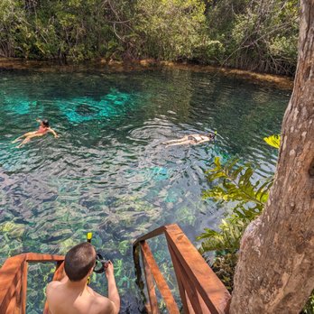 My Quest Concierge Private Tours - Swimming in Cenote Xunaan Ha in Chemuyil, Quintana Roo. The water was so fresh and clean. Nature at its finest. - Historical Tours Near Me - Playa del Carmen, ROO