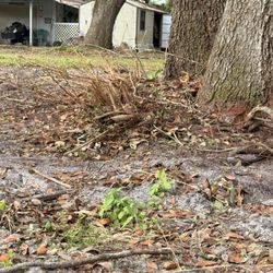 Green Sweep Pro Services