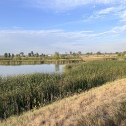 Shiloh Conservation Area