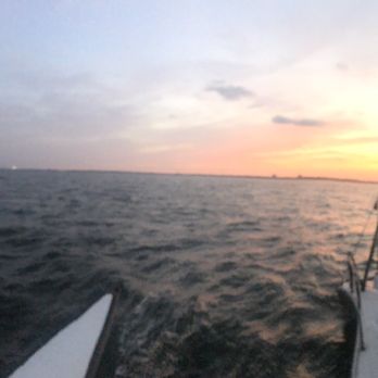 Condor Sailing Adventures - Boating Near Me - Pensacola Beach, Florida
