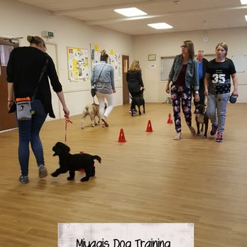 Miyagis Dog Training - Pet Training Near Me - Burgh Le Marsh, LIN